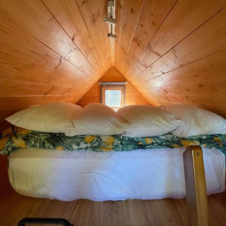 Studio Or Cabin On Whitby 纳尔逊 外观 照片