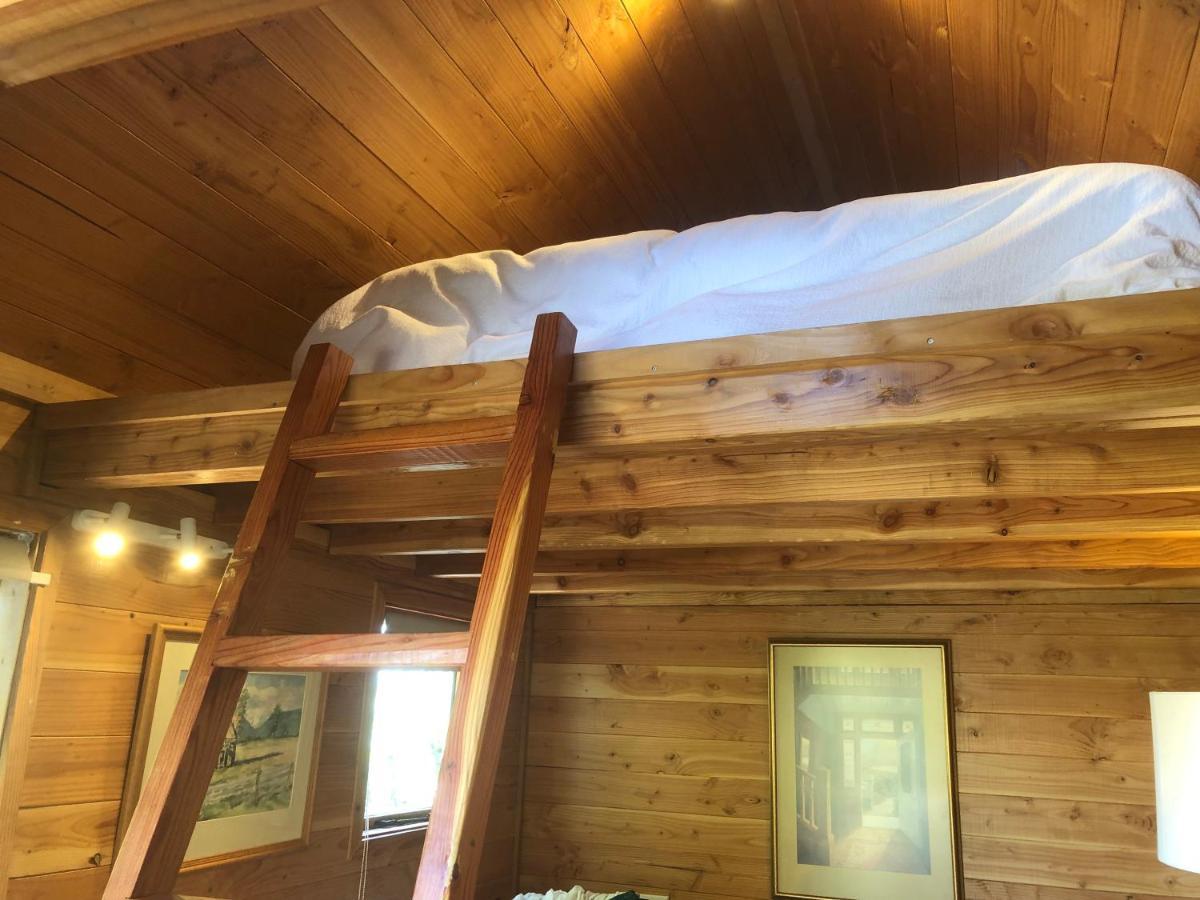 Studio Or Cabin On Whitby 纳尔逊 外观 照片
